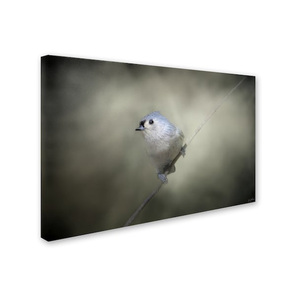 Jai Johnson 'Little Tufted Titmouse' Canvas Art,30x47